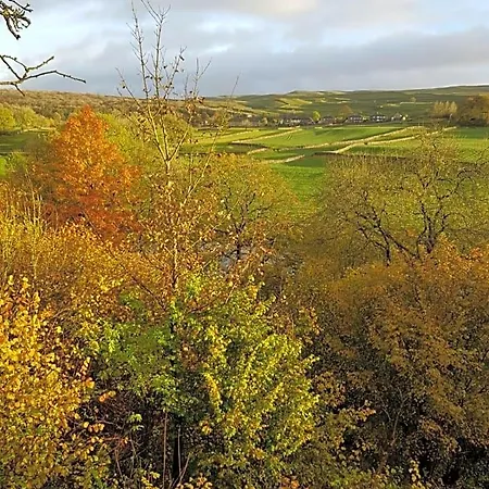 The Sett On The Wharfe 山林小屋 *